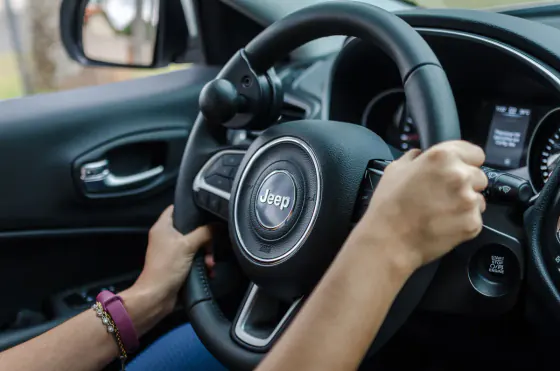 Steering
